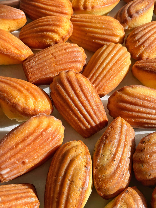 Madeleines - Assorted Classic Set