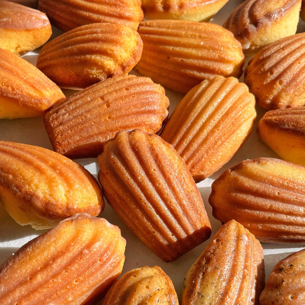 Buttery assorted madeleines (square) - Soft Dough Co.
