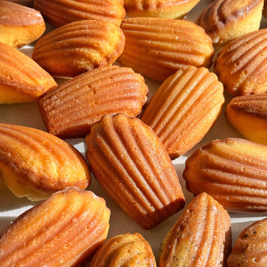 Buttery assorted madeleines (square) - Soft Dough Co.
